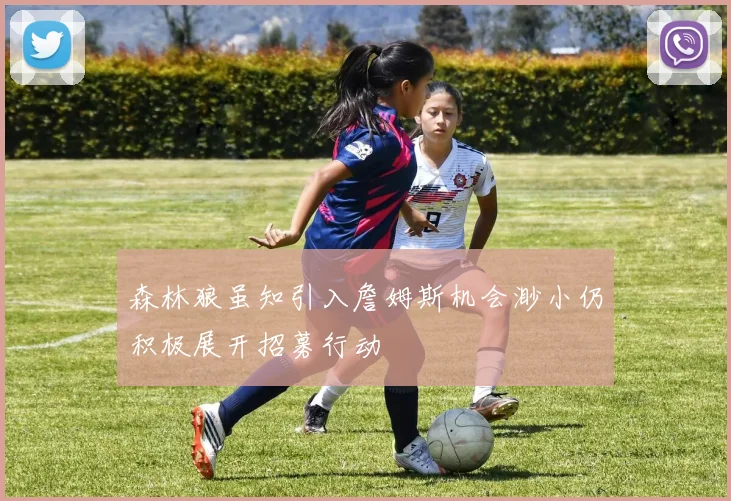 森林狼虽知引入詹姆斯机会渺小仍积极展开招募行动